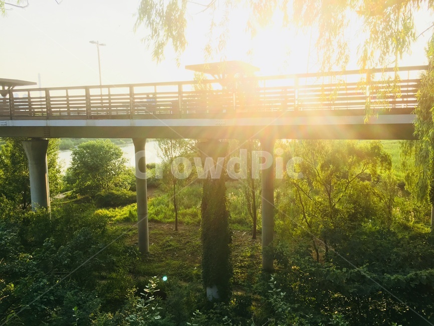 하늘,햇빛,풀,초록,공원,휴식,힐링,rest,relaxation,healing