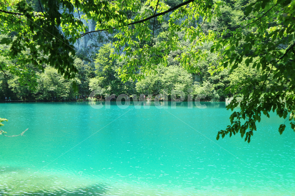outdoors,옥외,nature,자연,landscape,경치,scenery,풍경,크로아티아,물,water,나무,tree,공원,garden,유럽,여행,유럽여행,관광,자연,풍경,nature,landscape,lagoon,라군,lake,호수
