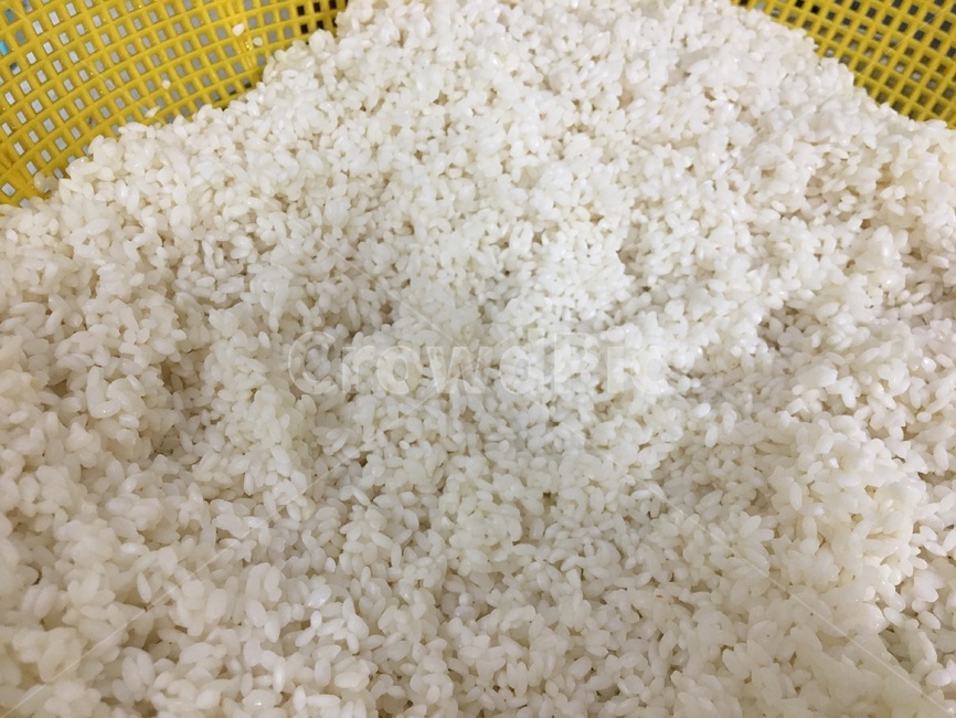 쌀,불린쌀,씻은쌀,찹쌀,곡식,음식,식재료,요리,food,cook,meal,dishes,food reserves,곡류,곡식,cereals