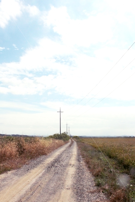 dirtroad,흙길,road,도로,gravel,자갈,바탕화면,시골,마을,풍경,landscape,country,rural,town