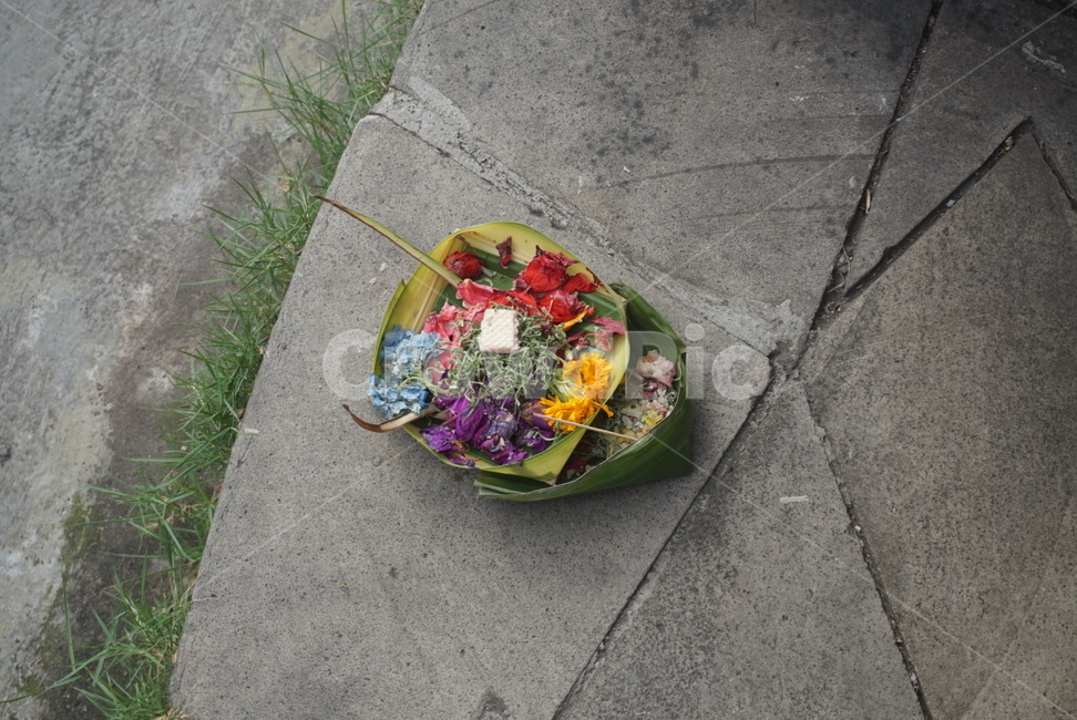 짜낭사리,꽃,꽃바구니,힌두교,종교,제물,인도네시아,발리,canangsari,indonesia,bali,hindu,religion,flower,hinduism