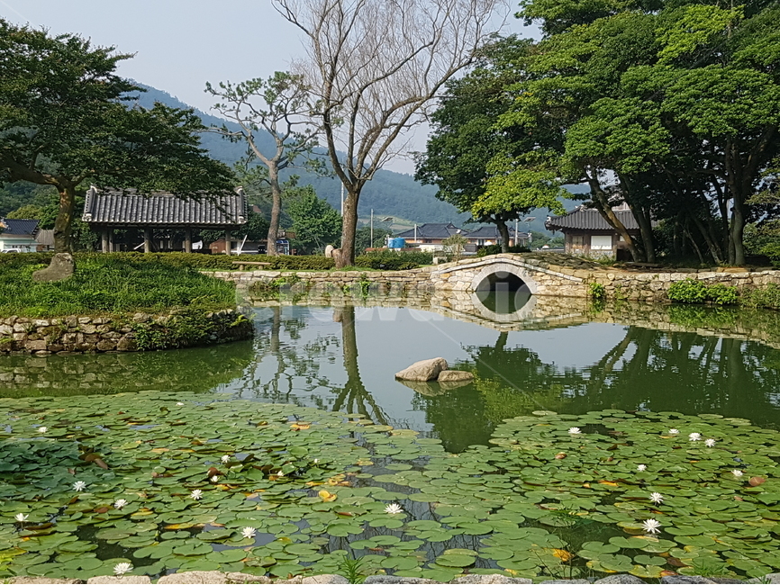 	운림산방,진도운림산방,정원,연못,자연,풍경,자연,풍경,nature,landscape,한국자연풍경,한국자연경관,korea nature landscape,한국전통,한국문화,korean traditional,korean culture,water,물,outdoors,옥외,pond,못