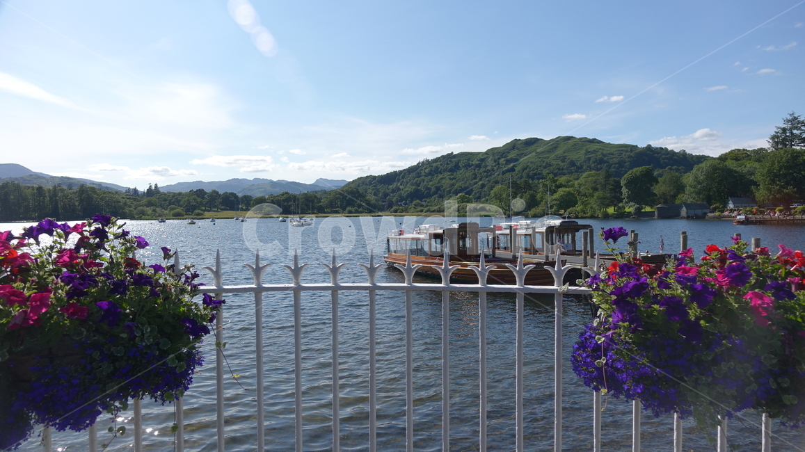 자연,nature,green,초록,호수,lake,water,물,화분,꽃,flower,배,여객선,산