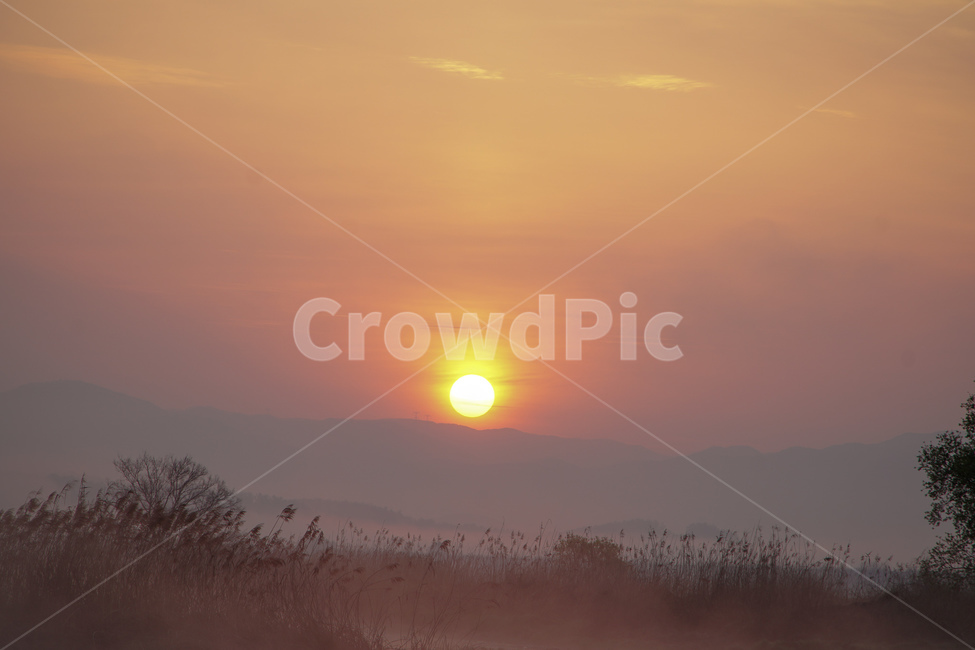 우포늪일출,uposwampsunrise,새벽안개,dawnfog,우포늪,uposwamp