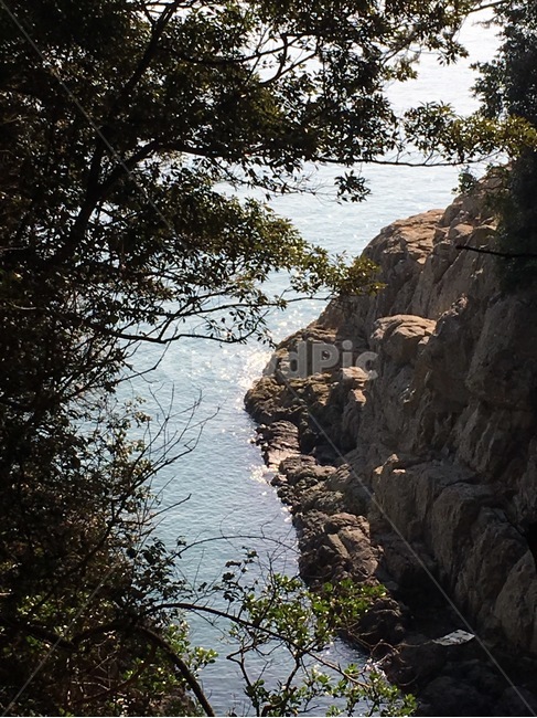 바다,섬,sea,파도,자연,풍경,nature,landscape,island,풀,나무,화창한,자연,풍경,nature,landscape,outdoors,옥외,cliff,낭떠러지