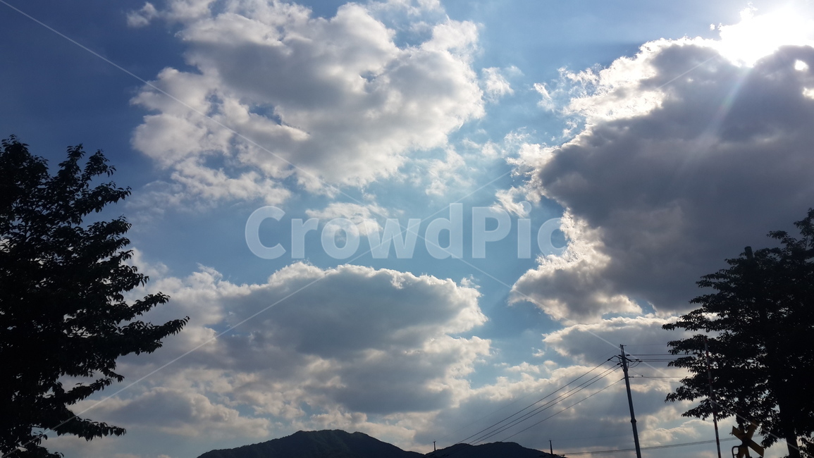 파란하늘,나무,햇빛,구름,산책