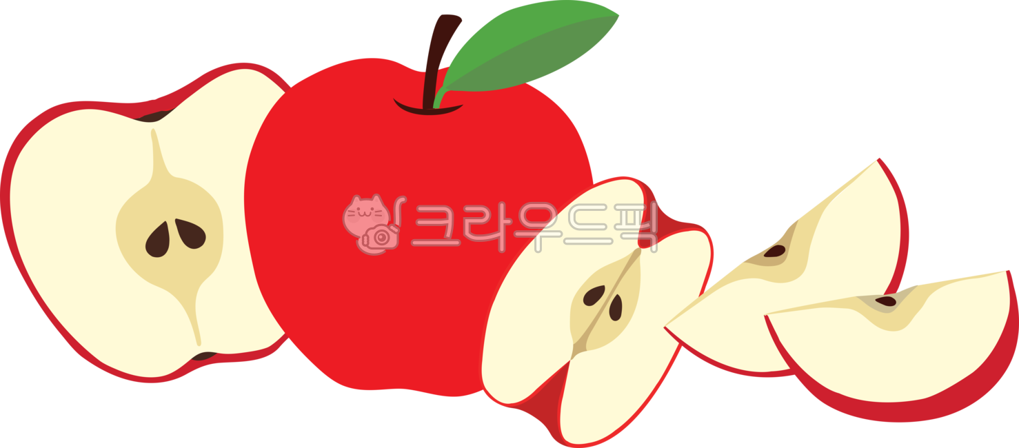 홍사과,부사,아삭사과,사과조각,fruit,음식,사과,apple,과일,풋사과,빨강사과,reaapple,food,과일조각