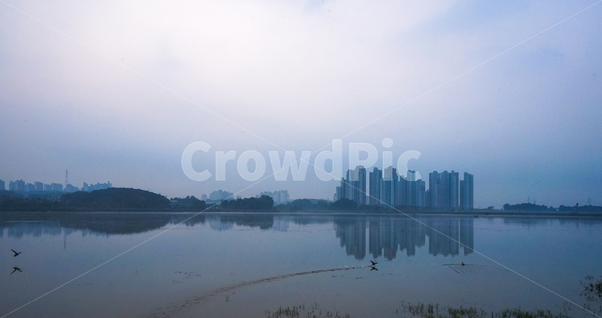호수,저수지,왕송지,여명,반영,투영,도시,풍경,city,landscape,한국도시풍경,한국도시경관,korea cityscape,nature,자연,water,물,outdoors,옥외