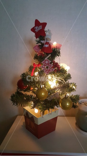 성탄절,크리스마스,트리,tree,christmas,xmas