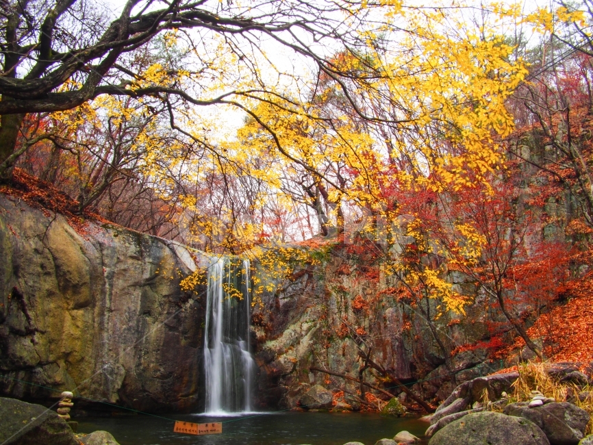 가을,청평사,은행나무,계곡,단풍,가을,계절,fall,autumn,season,자연,풍경,nature,landscape,한국자연풍경,한국자연경관,korea nature landscape,river,강,water,물,outdoors,옥외,tree,나무,plant,식물