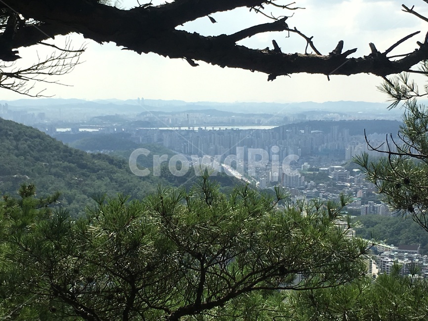 풍경,도시,자연,나무,산,정상,등산,상쾌함,나뭇가지,초록색,하늘,mountain,nature,tree,city,view,green,sky,도시,풍경,city,landscape,outdoors,옥외,plant,식물