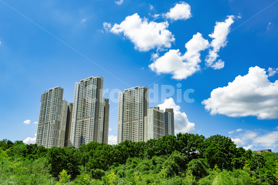 아파트,건물,도시,빌딩,건축물,마을,구름,뭉게구름,하늘,파란하늘,숲,자연,나무,자연환경,도시개발,건축,환경,풍경,apartment,building,분양,도시,풍경,city,landscape,한국도시풍경,한국도시경관,korea cityscape,urban,어반,시티,high rise,고층 건물,town