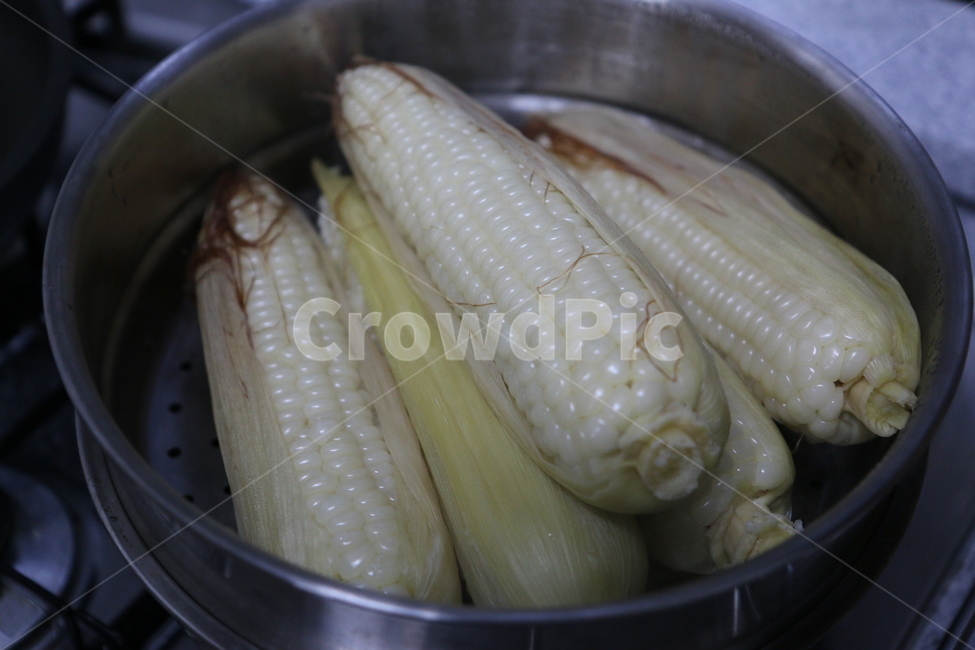 옥수수,곡물,식물,조리,요리,간식,여름,푸드,음식,찐,음식,식재료,요리,food,cook,meal,dishes,food reserves,곡류,곡식,cereals