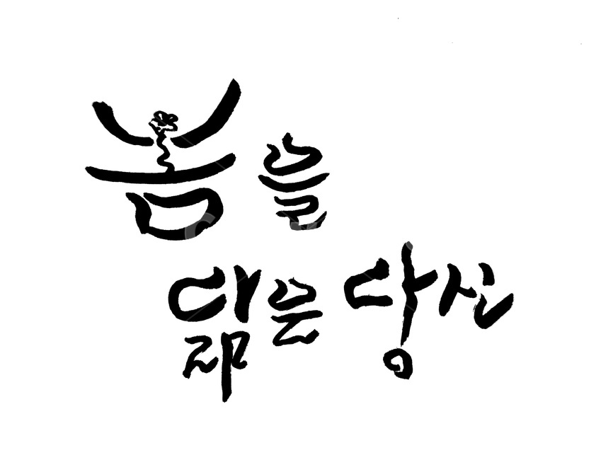 캘리그라피,봄,당신,손글씨,붓글씨,캘리그라피,손글씨,calligraphy