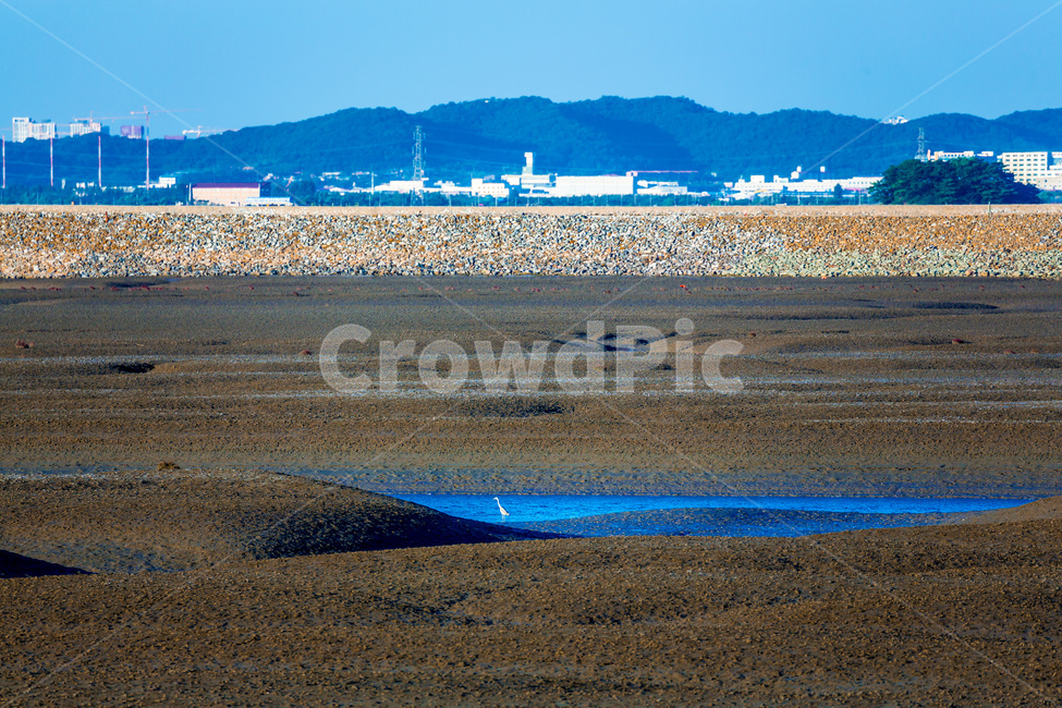 영종도,자연,썰물,갯벌,환경,바다,무늬,자연,풍경,nature,landscape,한국자연풍경,한국자연경관,korea nature landscape