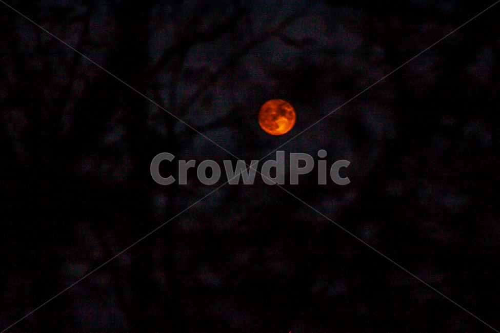 nature,자연,outdoors,달,moon