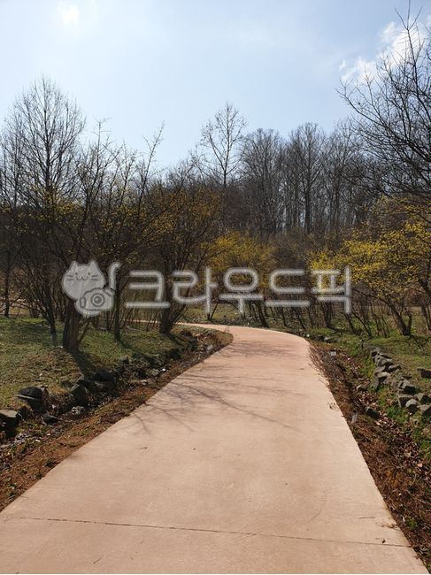 path, sidewalk, 길, walkway, outdoors, 사진,이미지,일러스트,캘리그라피 - iknow2017작가