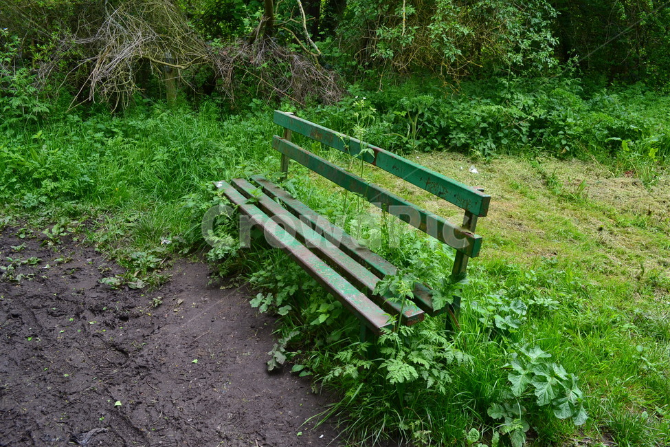 furniture,가구,bench,벤치,parkbench,공원벤치,이국적,잔디배경,영국분위기,해리포터