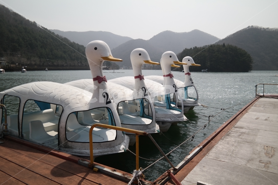 자연,풍경,연못,동물,감성,교통,교통수단,traffic,transportation,watercraft,선박,vehicle,차량