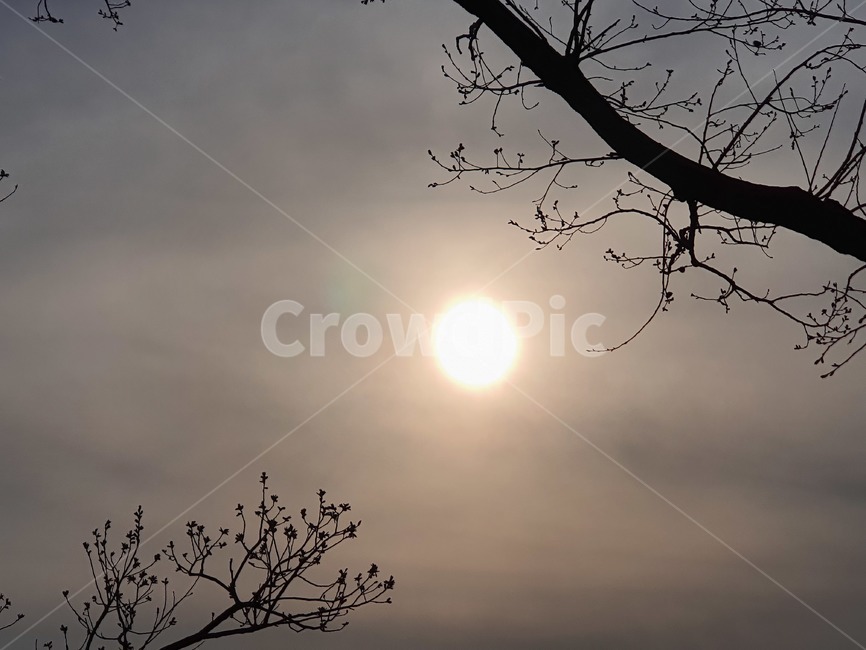 달, 이쁜달, 태양, 산, 빛, 사진,이미지,일러스트,캘리그라피 - 뚱식작가 크라우드픽 - 저작권 걱정 없는 상업용 이미지