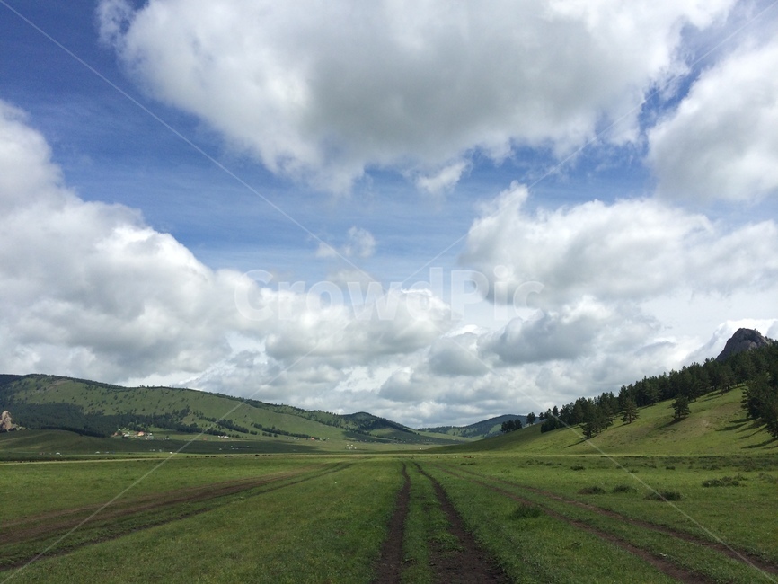 지평선,몽골,뭉게구름,바큇자국,파란하늘,평야,retreat,자연,풍경,nature,landscape,grassland,목초지,field,들,outdoors,옥외