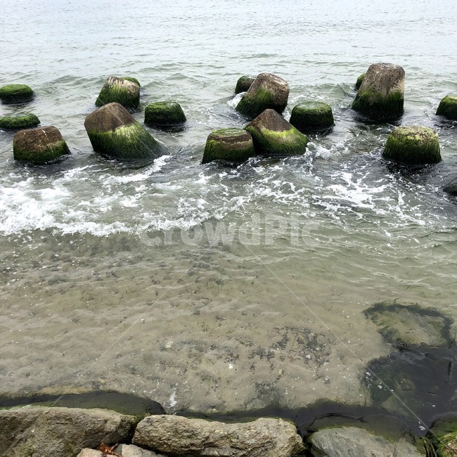 바다,파도,돌,투명한바다,이끼
