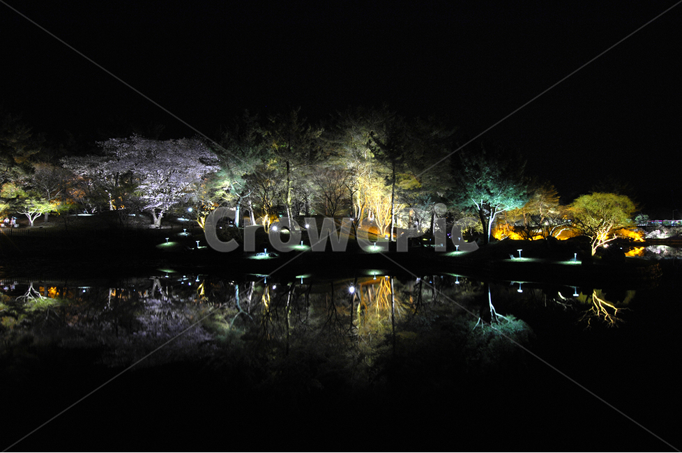 경주,자연,야경,동궁과월지,안압지,야경,밤,풍경,nightscape,night,landscape
