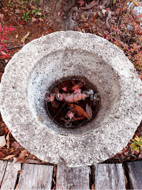 돌절구,돌,낙엽,단풍잎,가을,한국,토속,옛날물건,옛터,astonemortar,stone,deadleaves,mapleleaf,fall,korea,folkways,antiques,가을,계절,fall,autumn,season,자연,풍경,nature,landscape