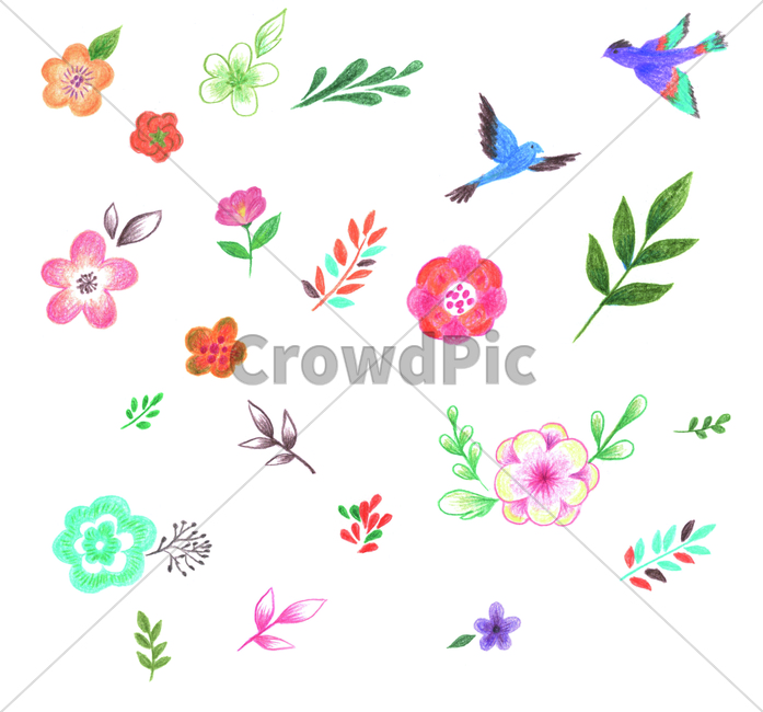 handdrawing,flower,잎,leaf,painting,pastel,cute,lovely,adorable,charming,sweet,foliage,꽃,색연필,coloredpencil,손그림,art,미술,graphics,pattern,무늬,floraldesign,플로랄디자인,bird,새,animal,동물,그래픽,일러스트레이션,graphic,illustration