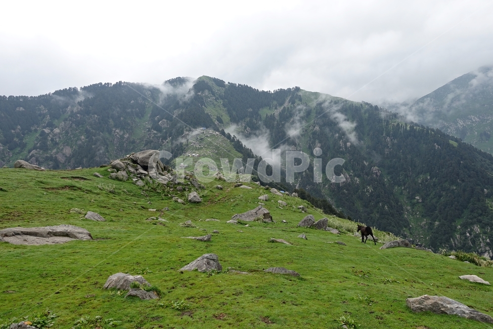 인도,히말라야,트리운드,맥간,풍경,자연,자연,풍경,nature,landscape,해외,외국,세계,foreign,oversea,world,세계자연풍경,해외자연풍경,외국자연풍경,world nature landscape,outdoors,옥외,grassland,목초지,field,들,mountain,산,mountain range,산맥