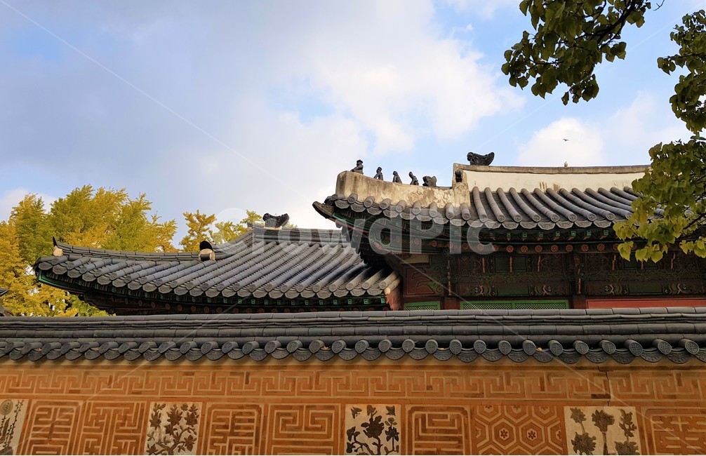 경복궁,담장,고궁,담벼락,한국전통,한국문화,koreantraditional,koreanculture,랜드마크,landmark,한국랜드마크,touristattraction,한국관광지,한국명소,korealandmark,koreatouristattraction,나무,plant,tree,기와,지붕,roof,궁전,궁궐,기와집,관광,건축물,건물외관,structure,building,전통,전통건축,문화재,기와지붕