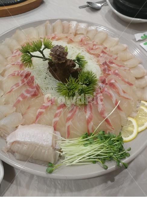 meal,식사,dish,요리,food,음식,회,스시,음식,식재료,요리,food,cook,meal,dishes,food reserves,일식,일본음식,일본요리,Japanese food,Japanese dishes,Japanese meal,Japanese cook