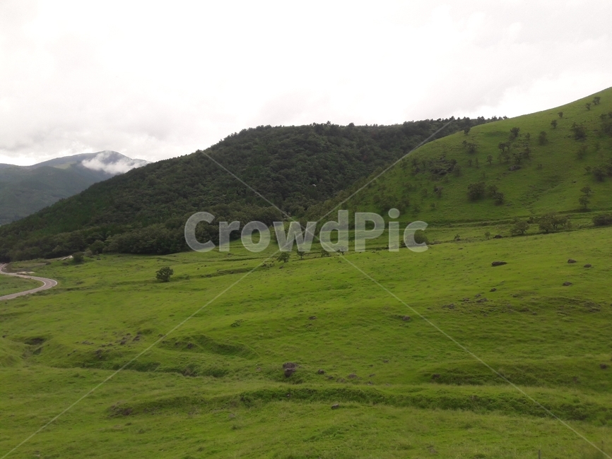 nature,자연,언덕,hill,들,자연,풍경,nature,landscape,outdoors,옥외
