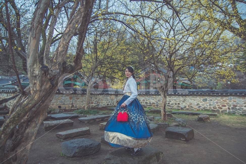 한복,한옥,전통한복,봄,나들이,한옥마을,산책,봄,계절,spring,season,한국전통,한국문화,korean traditional,korean culture,한복,한국전통의상,hanbok,korean traditional clothes,사람,인물,인간,human,person,여성,여자,woman,female,lady,감정표현,기분,feeling,emotion,감성,sensible,연출,컨셉,콘셉,direction,concept