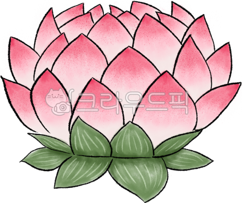 연꽃,꽃,부처님오신날,석가탄신일,불교,꽃그림,lotus,일러스트,연꽃드로잉,연꽃일러스트,종교,연꽃잎,연못,연잎,연등,그래픽,연꽃png,스님,전통문양,식물,백그라운드,불교행사,연등장식,소원,동자승,기원,절,사찰,기념일,행사,석가모니,꽃일러스트,수채화질감,꽃잎,신앙,한국전통