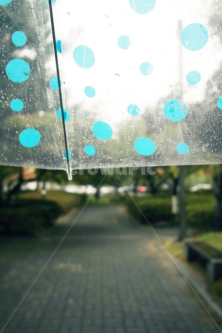 비,우산,물방울,땡땡이,풍경,비,비오는날,rain,rainy