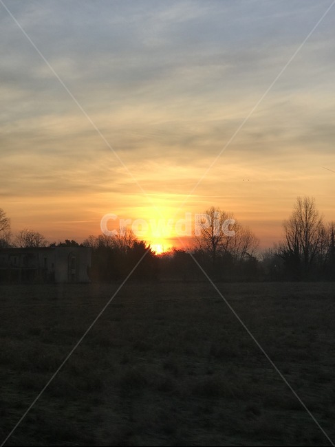 일몰,sunset,하늘,view,sun,tree,나무,태양,자연,outdoor,nature,오렌지색,sky,붉은하늘