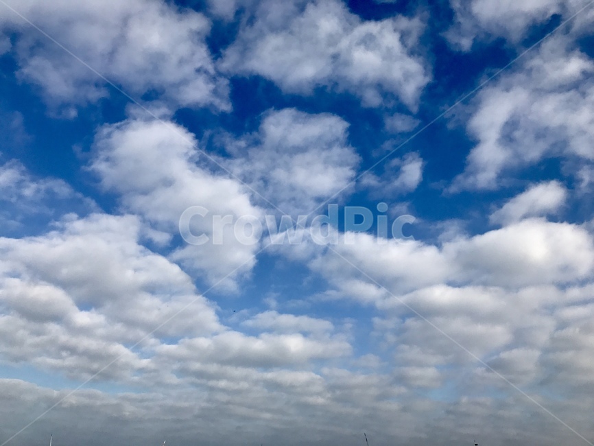제주도,푸른하늘,구름,자연,sky,cloud,하늘