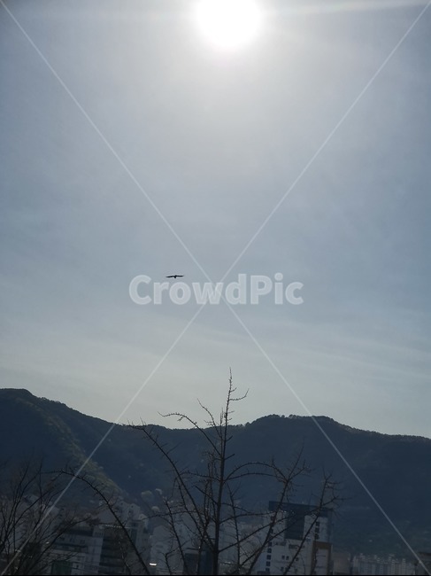 산,태양,나무,자연,하늘