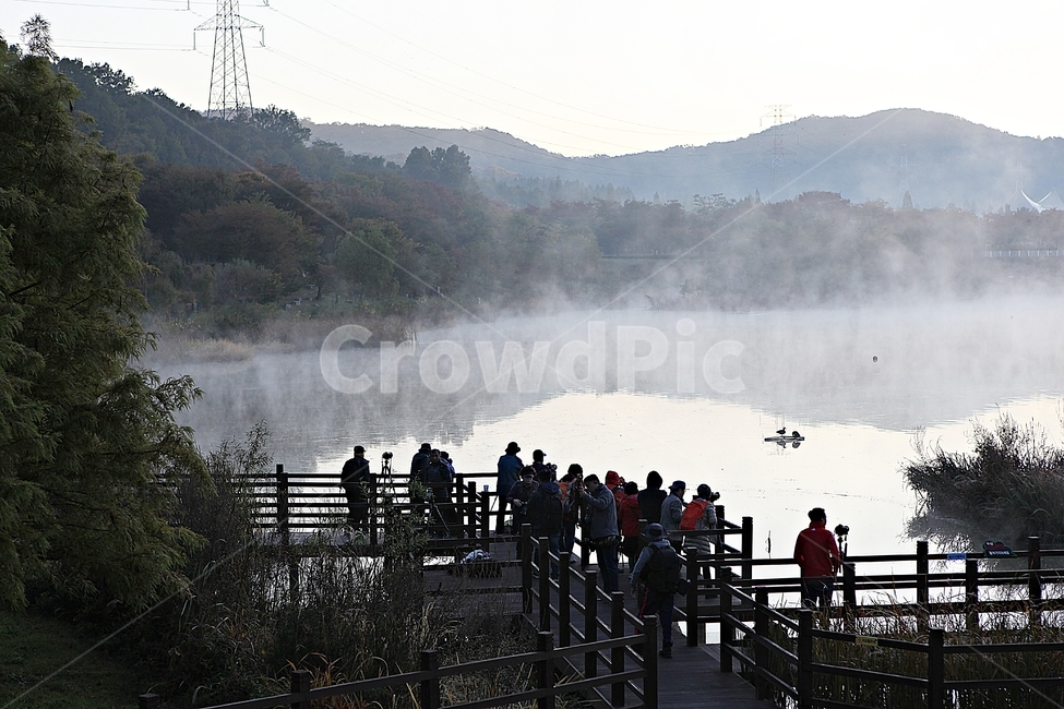 호수,인천대공원,물안개,새벽,아침,풍경,자연,식물,물,자연,풍경,nature,landscape