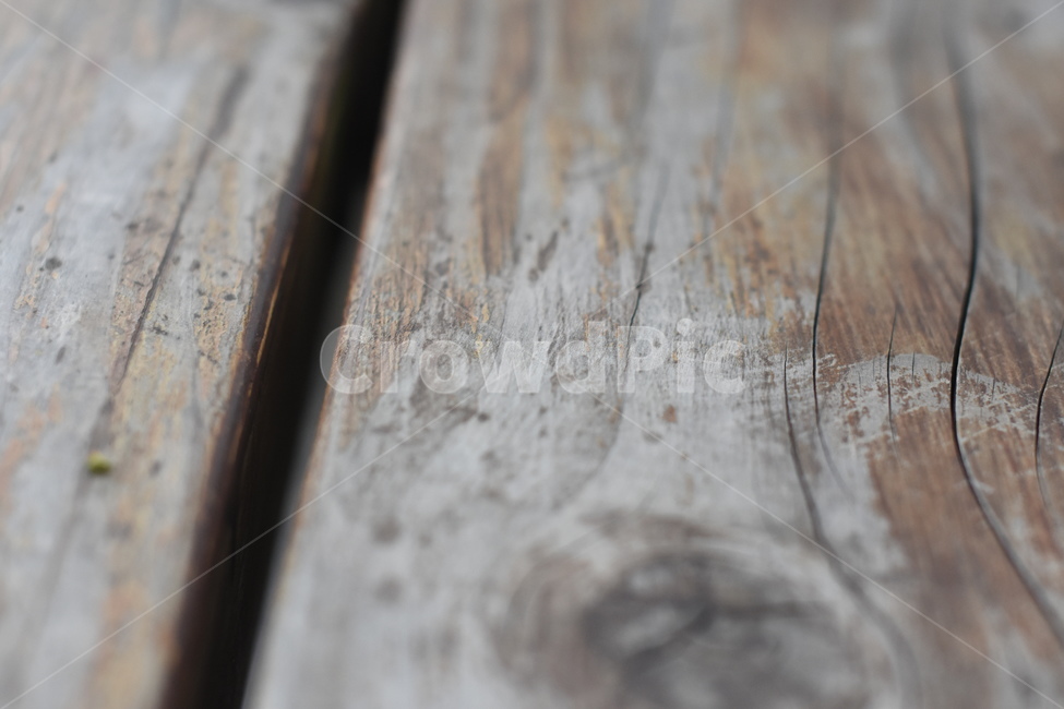 나무,나무결,무늬,패턴,나무접사,wooden