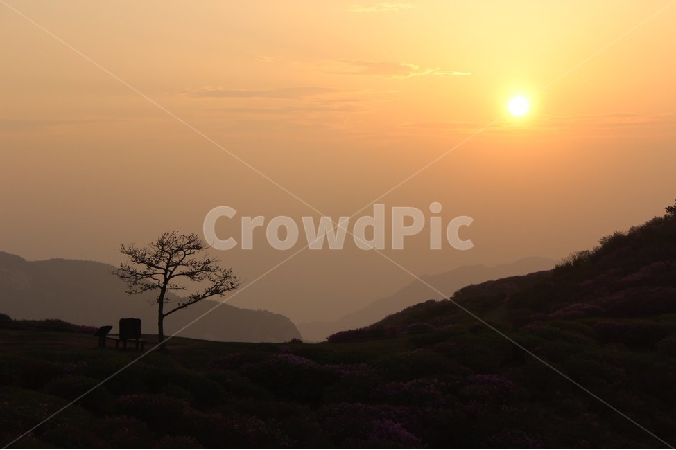 경치,자연,풍경,하늘,나무,자연,풍경,nature,landscape,outdoors,옥외,sky,dusk,황혼,sunset,일몰,red sky,붉은 하늘,dawn,새벽