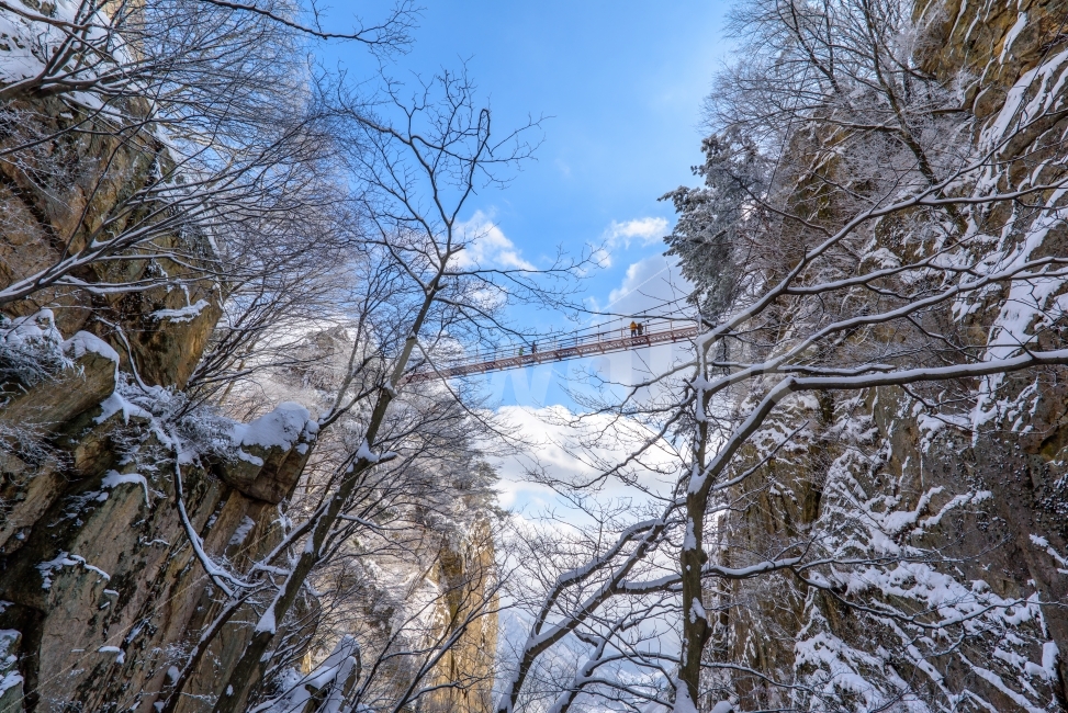 설경,풍경,대둔산,풍결사진,눈사진,자연,풍경,nature,landscape,겨울,계절,winter,season,plant,식물,tree,나무,outdoors,옥외