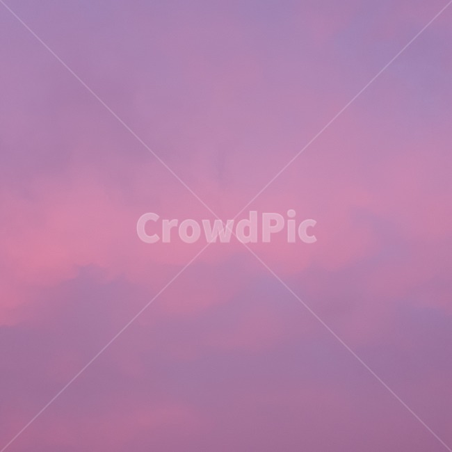 nature,자연,옥외,outdoors,하늘,sky,힐링,보라,몽환,색깔,색상,색채,색감,color sense,color sensitivity,feeling of color