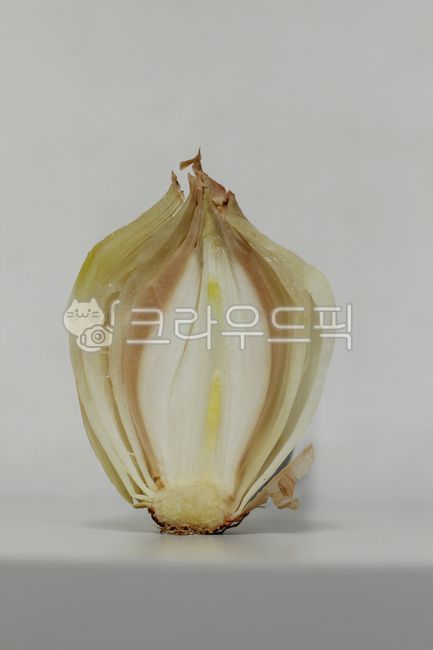 rotten onion,half onion,onion,section,vegetable,Onion cross section