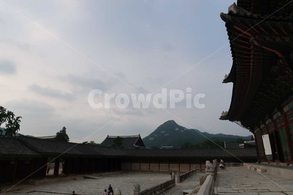 경복궁,한국,전통,동양풍,건물,자연,컬러,gyeongbokgungpalace,korea,traditional,orientalstyle,buildings,nature,tree,plant,stone,color,조선시대,궁궐,한국전통,한국문화,korean traditional,korean culture