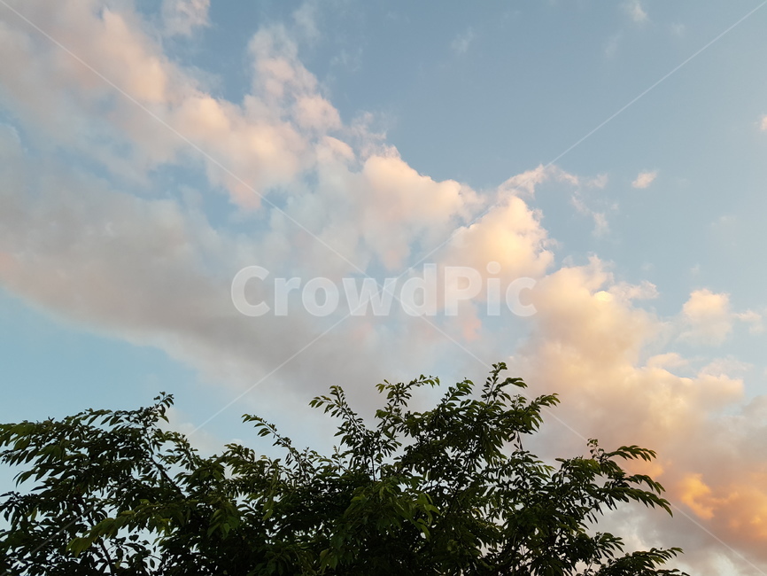 구름,cloud,노을,sunset,나무,tree,하늘,sky,하늘색,파란색