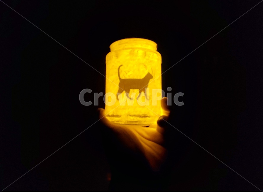 조명,인테리어,인테리어소품,고양이,디자인소품,cat,light,야경,밤,풍경,nightscape,night,landscape,사물,물건,오브젝트,thing,object,matter