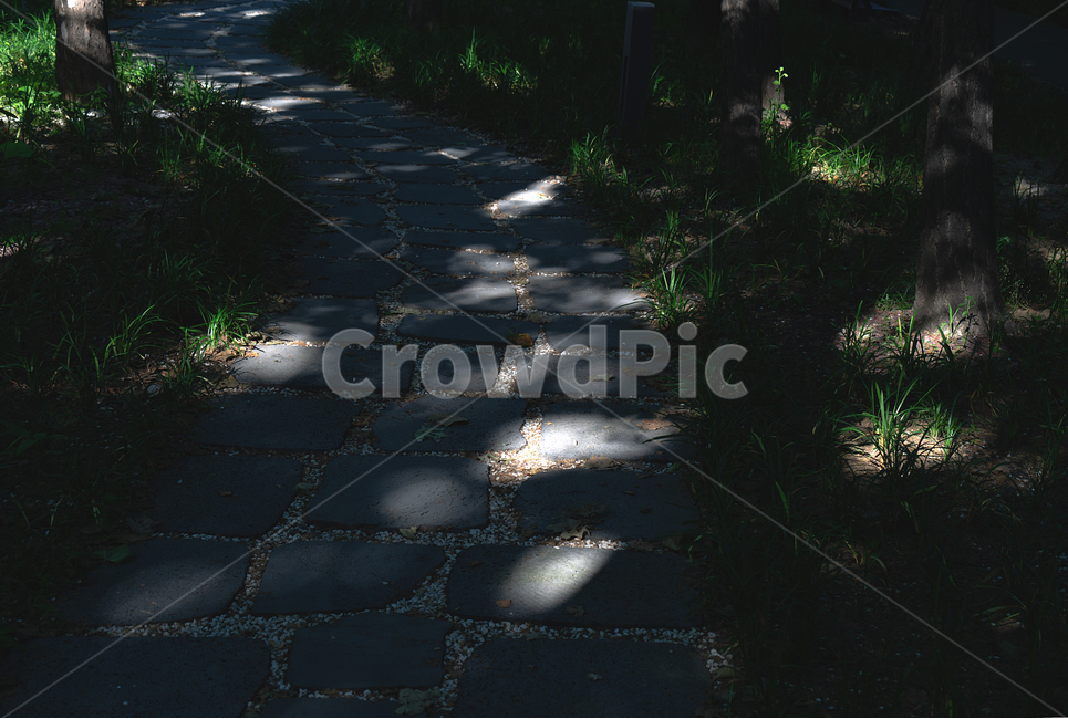 돌길,오솔길,수풀길,숲길,징검다리,핀조명,pinlight,나무,구불구불,자연,풍경,nature,landscape,flagstone,판석,path,통로