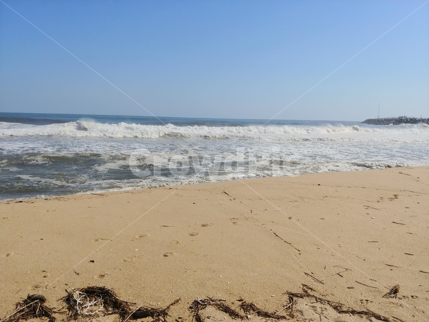 파도,바다,강릉,강릉바다,여름바다,큰파도,태풍파도